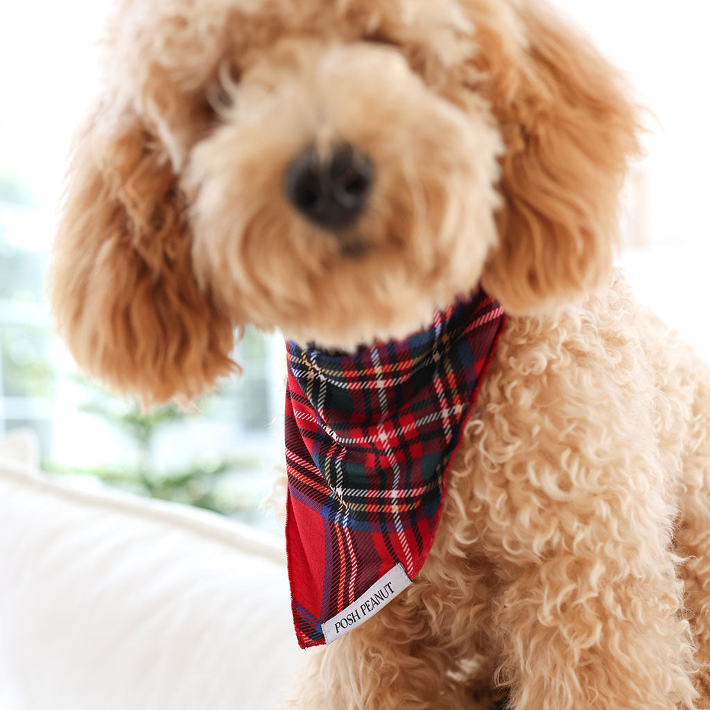 Red Tartan Plaid Dog Bandana