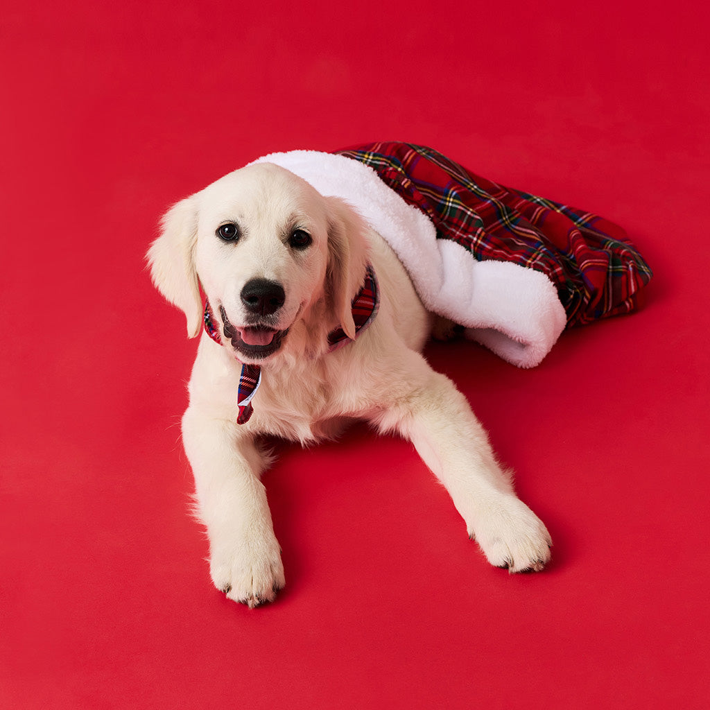 Red Tartan Plaid Flannelette Holiday Gift Sack