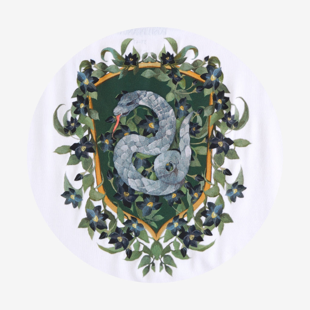 Team Slytherin Women's Varsity Tee